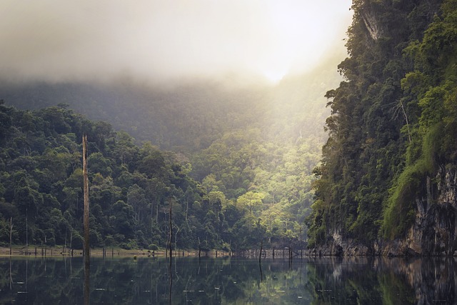 Les aventures dans la jungle exotique : randonnee, equitation, canoe-kayak